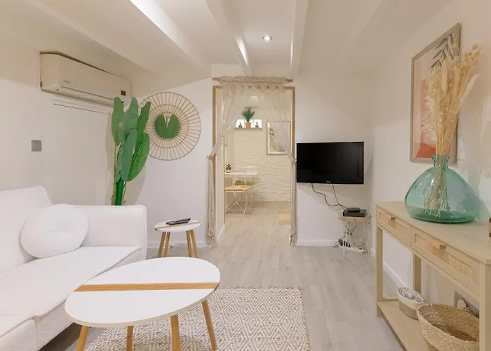 Appartement 2 Pieces Cosy Et Elegant A Cannes